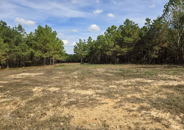 Photo 3 of Land for sale at 189 Evergreen Dr, Dover, TN 37058 | MLS# 3610079 | Listing updated on 2026-10-02
