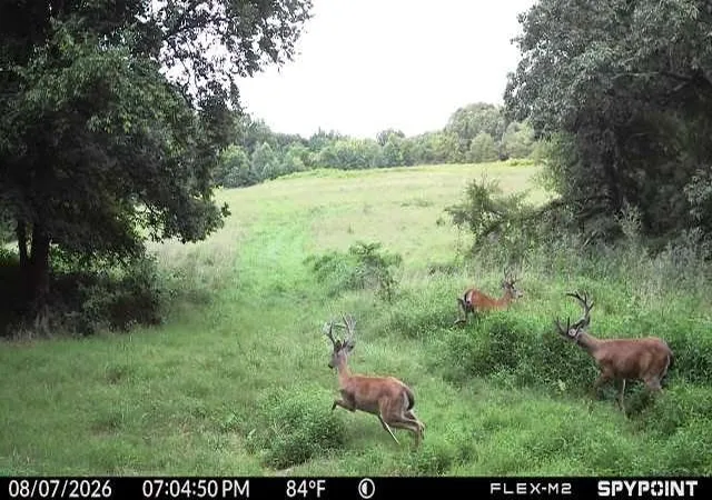 Photo 3 of Land for sale at 0 Spencer Ml Rd, Burns, TN 37029 | MLS# 3612636 | Listing updated on 2026-10-08