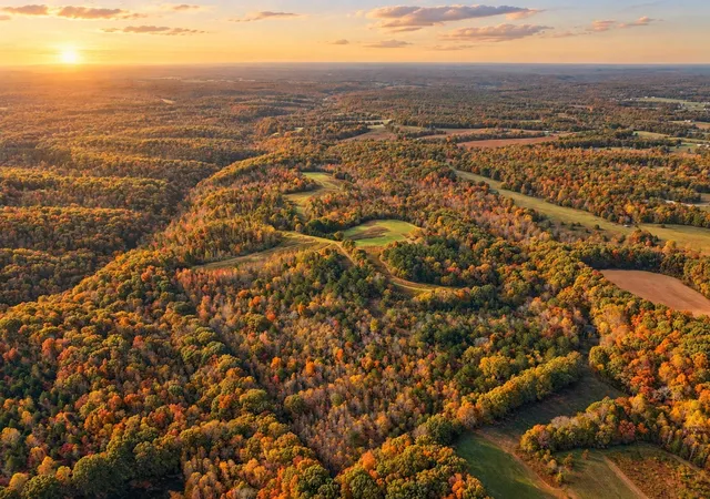 Photo 3 of Land for sale at 7489 Shls Branch Rd, Primm Springs, TN 38476 | MLS# 3619229 | Listing updated on 2026-10-11