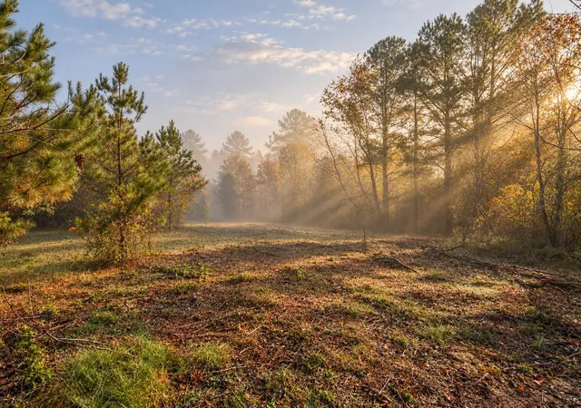 Photo 3 of Land for sale at 7489 Shls Branch Rd, Primm Springs, TN 38476 | MLS# 3619229 | Listing updated on 2026-10-11