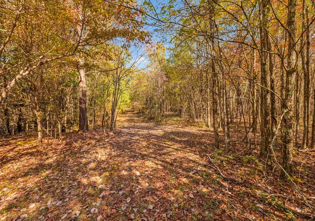 Photo 4 of Land for sale at 7489 Shls Branch Rd, Primm Springs, TN 38476 | MLS# 3619229 | Listing updated on 2026-10-11