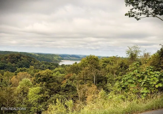 Photo 3 of Land for sale at 0 Wood Duck, Hilham, TN 38568 | MLS# 3609842 | Listing updated on 2026-10-01