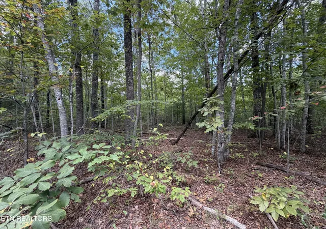 Photo 2 of Land for sale at 144 Horse Crk Rd, Jamestown, TN 38556 | MLS# 3609929 | Listing updated on 2026-10-01