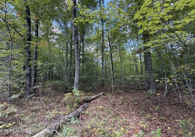 Photo 3 of Land for sale at 144 Horse Crk Rd, Jamestown, TN 38556 | MLS# 3609929 | Listing updated on 2026-10-01