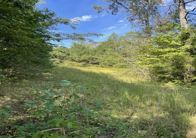 Photo 3 of Land for sale at 3130 Harrison Pike, Cleveland, TN 37311 | MLS# 3611057 | Listing updated on 2026-10-03