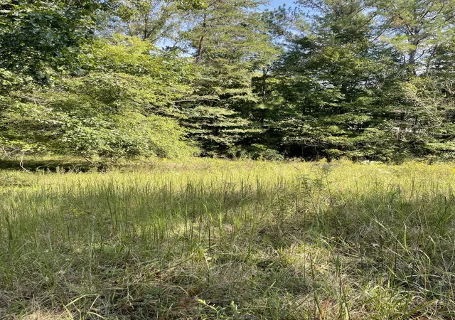 Photo 3 of Land for sale at 3130 Harrison Pike, Cleveland, TN 37311 | MLS# 3611057 | Listing updated on 2026-10-03