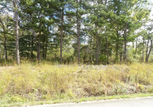 Land for sale at 0 Williams Holw Rd, Waverly, TN 37185 | MLS# 3611884