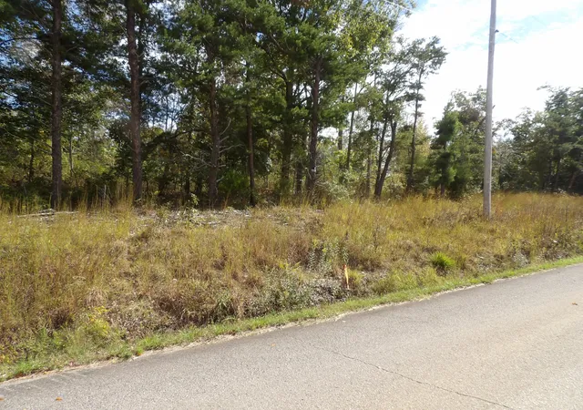Photo 1 of Land for sale at 0 Williams Holw Rd, Waverly, TN 37185 | MLS# 3611884 | Listing updated on 2026-10-05