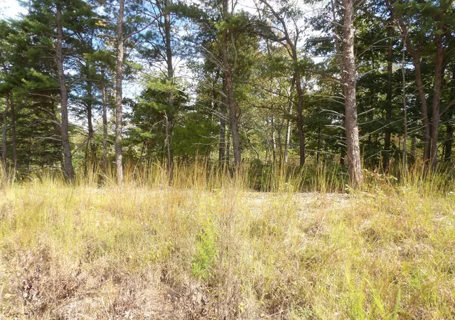 Photo 2 of Land for sale at 0 Williams Holw Rd, Waverly, TN 37185 | MLS# 3611884 | Listing updated on 2026-10-05