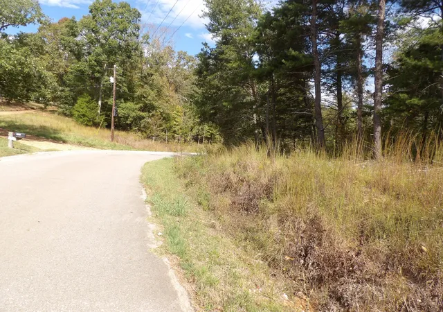 Photo 3 of Land for sale at 0 Williams Holw Rd, Waverly, TN 37185 | MLS# 3611884 | Listing updated on 2026-10-05