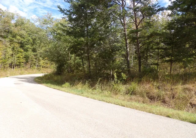 Photo 4 of Land for sale at 0 Williams Holw Rd, Waverly, TN 37185 | MLS# 3611884 | Listing updated on 2026-10-05