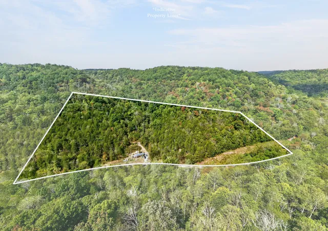 Photo 2 of Land for sale at 364 Turkey Branch Rd, Liberty, TN 37095 | MLS# 3610055 | Listing updated on 2026-10-01