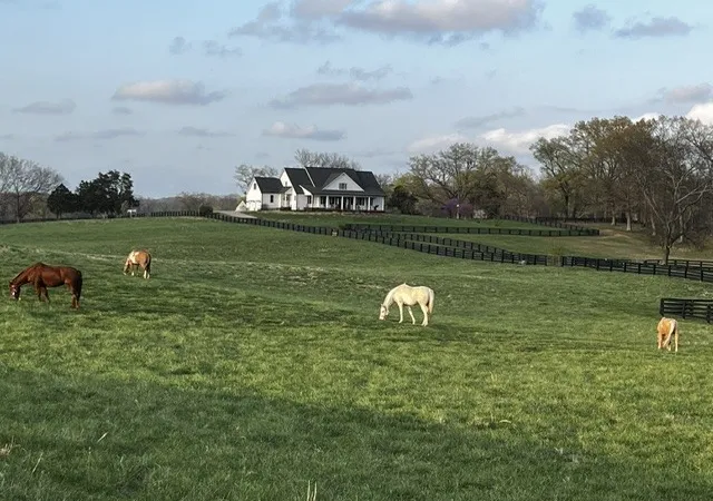 Photo 1 of Land for sale at 1421 Lawrence Ln, Springfield, TN 37172 | MLS# 3610938 | Listing updated on 2026-10-02