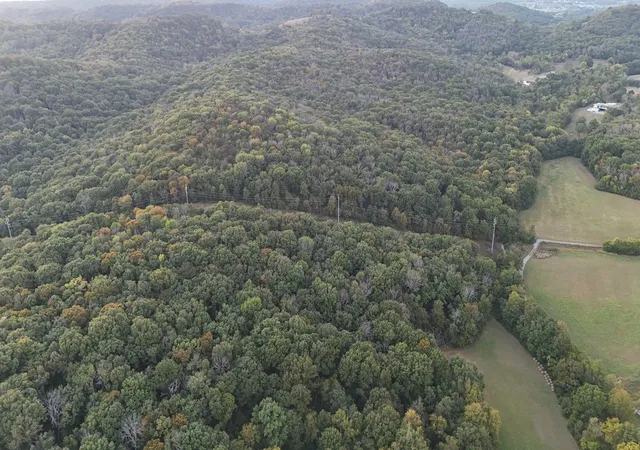 Photo 4 of Land for sale at 0 Palmore Holw Ln, Nolensville, TN 37135 | MLS# 3610524 | Listing updated on 2026-10-02