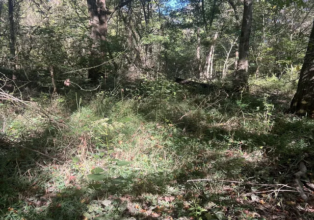 Photo 2 of Land for sale at 0 Shelbyville Rd, Morrison, TN 37357 | MLS# 3610517 | Listing updated on 2026-10-06
