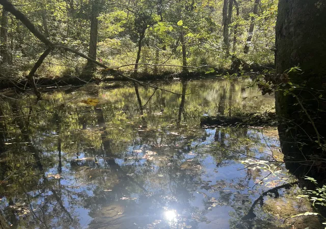 Photo 3 of Land for sale at 0 Shelbyville Rd, Morrison, TN 37357 | MLS# 3610517 | Listing updated on 2026-10-06