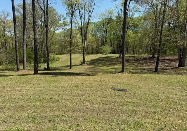 Photo 2 of Land for sale at 534 Whitney Branch Rd, Springville, TN 38256 | MLS# 3610366 | Listing updated on 2026-10-02