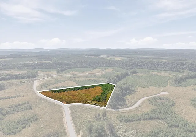 Photo 1 of Land for sale at 0 Saddleback Rd, Dunlap, TN 37327 | MLS# 3610371 | Listing updated on 2026-10-09