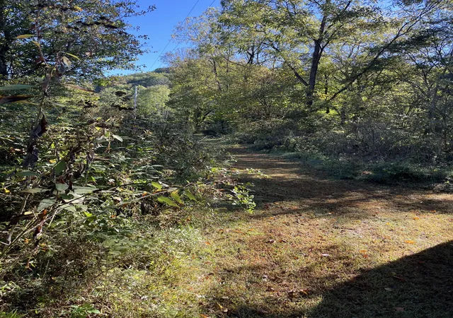 Photo 3 of Land for sale at 665 Bugg Holw Rd, Gallatin, TN 37066 | MLS# 3611979 | Listing updated on 2026-10-07