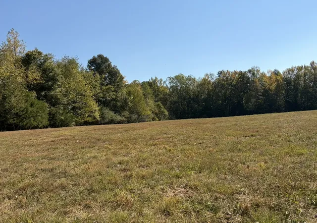 Photo 2 of Land for sale at 0 Davis Holw Rd, Minor Hill, TN 38473 | MLS# 3610773 | Listing updated on 2026-10-02