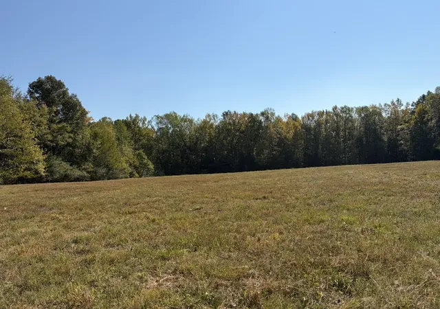 Photo 3 of Land for sale at 0 Davis Holw Rd, Minor Hill, TN 38473 | MLS# 3610773 | Listing updated on 2026-10-02