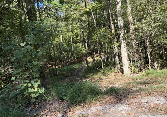 Photo 3 of House for sale at 0 Davis Holw Rd, Minor Hill, TN 38473 | MLS# 3610773 | Listing updated on 2026-10-02