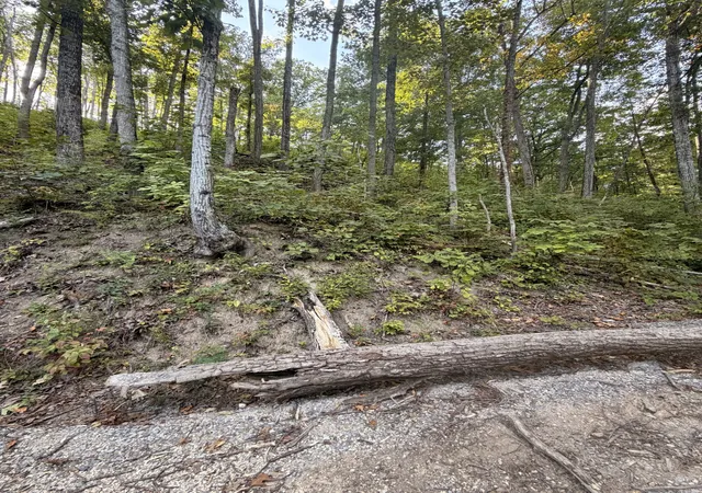 Photo 1 of Land for sale at 0 Whippoorwill Hl Way, Sevierville, TN 37862 | MLS# 3611686 | Listing updated on 2026-10-05