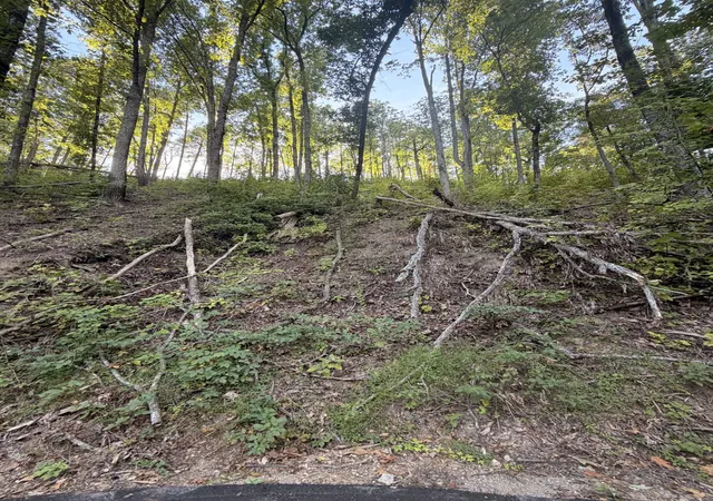 Photo 3 of Land for sale at 0 Whippoorwill Hl Way, Sevierville, TN 37862 | MLS# 3611686 | Listing updated on 2026-10-05