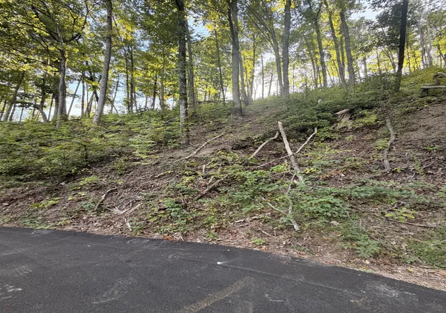 Photo 3 of Land for sale at 0 Whippoorwill Hl Way, Sevierville, TN 37862 | MLS# 3611686 | Listing updated on 2026-10-05