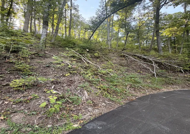Photo 4 of Land for sale at 0 Whippoorwill Hl Way, Sevierville, TN 37862 | MLS# 3611686 | Listing updated on 2026-10-05