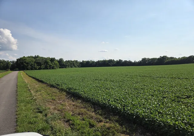 Land for sale at 0 Power Sta Rd, Taft, TN 38488 | MLS# 3611601