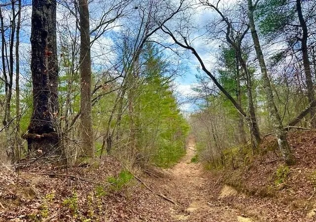 Photo 1 of Land for sale at 144 Gunter Pl Rd, Sunbright, TN 37872 | MLS# 3610688 | Listing updated on 2026-10-09