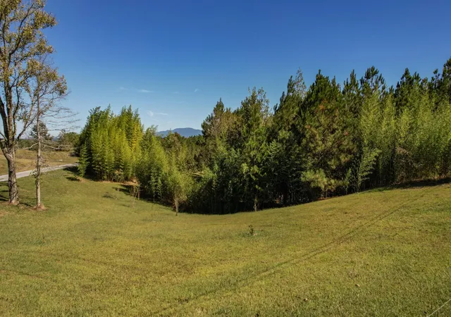 Photo 3 of Land for sale at 1 Spring Pl Rd Se, Cleveland, TN 37311 | MLS# 3610719 | Listing updated on 2026-10-08