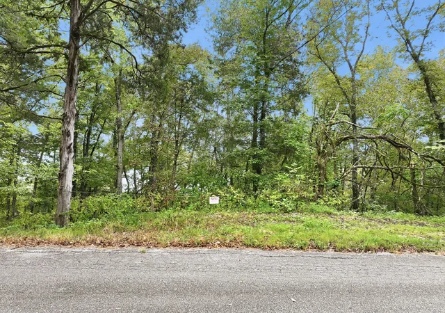 Photo 2 of Land for sale at 0 Horseshoe Bnd Ln, Elmwood, TN 38560 | MLS# 3611214 | Listing updated on 2026-10-03