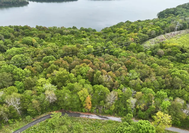 Photo 3 of Land for sale at 0 Horseshoe Bnd Ln, Elmwood, TN 38560 | MLS# 3611214 | Listing updated on 2026-10-03