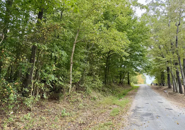 Photo 2 of Sale Pending at 0 Mcdonald Rd, Lexington, TN 38351 | MLS# 3610939 | Listing updated on 2026-10-06