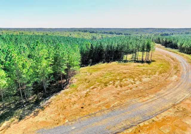 Photo 1 of Land for sale at 0 Warren Proctor Ln, Erin, TN 37061 | MLS# 3611026 | Listing updated on 2026-10-03