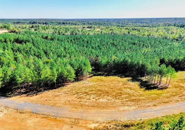 Photo 2 of Land for sale at 0 Warren Proctor Ln, Erin, TN 37061 | MLS# 3611026 | Listing updated on 2026-10-03