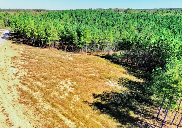 Photo 3 of Land for sale at 0 Warren Proctor Ln, Erin, TN 37061 | MLS# 3611026 | Listing updated on 2026-10-03