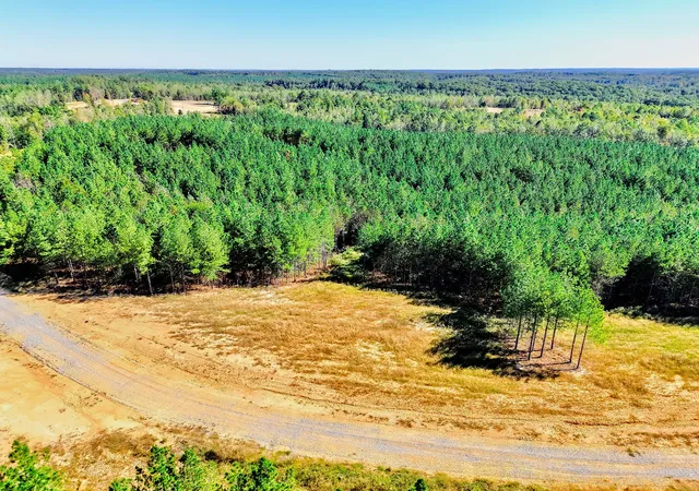 Photo 3 of Land for sale at 0 Warren Proctor Ln, Erin, TN 37061 | MLS# 3611026 | Listing updated on 2026-10-03