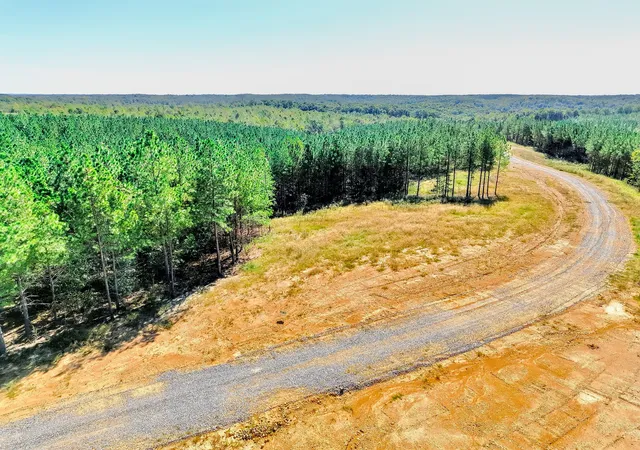Photo 4 of Land for sale at 0 Warren Proctor Ln, Erin, TN 37061 | MLS# 3611026 | Listing updated on 2026-10-03