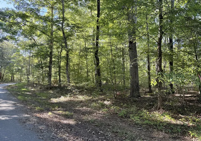 Photo 3 of Land for sale at 0 Old Spencer Ml Rd, Burns, TN 37029 | MLS# 3612637 | Listing updated on 2026-10-07
