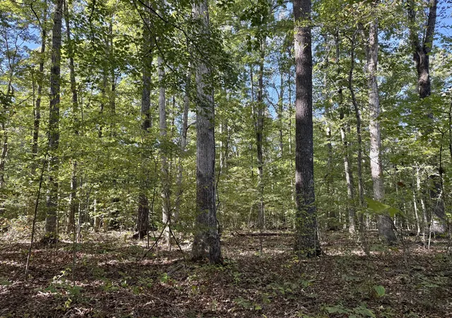 Photo 4 of Land for sale at 0 Old Spencer Ml Rd, Burns, TN 37029 | MLS# 3612637 | Listing updated on 2026-10-07