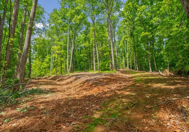 Photo 1 of Land for sale at 1 Budds Crk Rd, Palmyra, TN 37142 | MLS# 3612214 | Listing updated on 2026-10-06