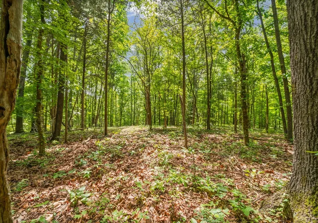 Photo 1 of Land for sale at 2 Budds Crk Rd, Palmyra, TN 37142 | MLS# 3612210 | Listing updated on 2026-10-06