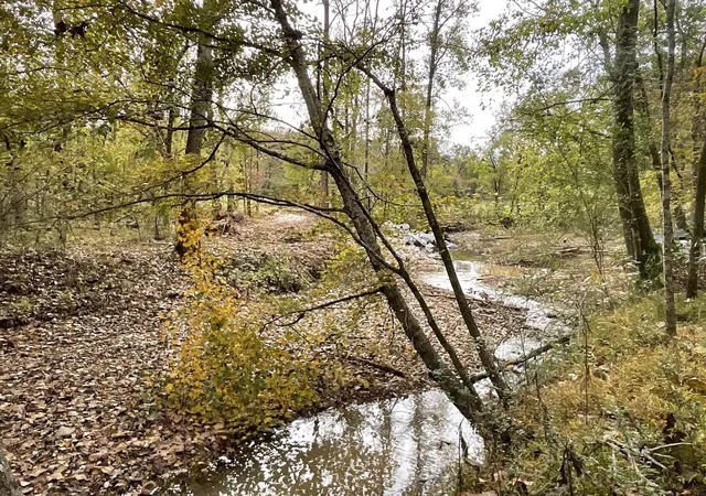 Photo 3 of Land for sale at 2 Budds Crk Rd, Palmyra, TN 37142 | MLS# 3612210 | Listing updated on 2026-10-06