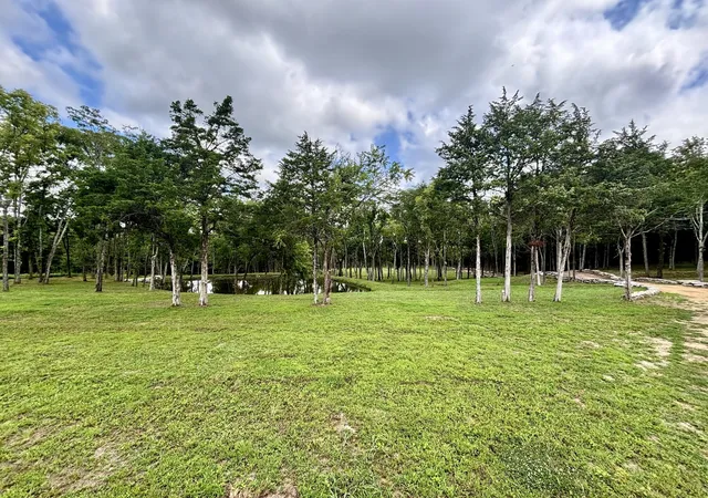 Photo 2 of Land for sale at 8598 Taliaferro Rd, Eagleville, TN 37060 | MLS# 3611409 | Listing updated on 2026-10-09