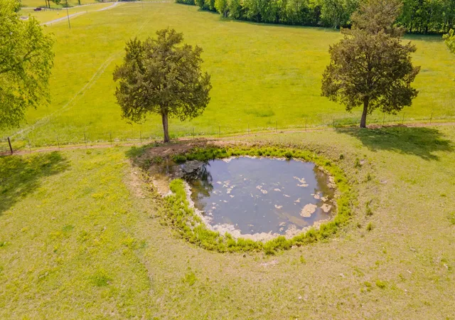 Photo 3 of Land for sale at 9701 Fox Holw Rd, Christiana, TN 37037 | MLS# 3611425 | Listing updated on 2026-10-04