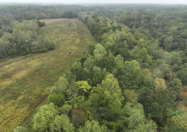 Photo 3 of Land for sale at 1766 Clifty Rd, Westmoreland, TN 37186 | MLS# 3612525 | Listing updated on 2026-10-06