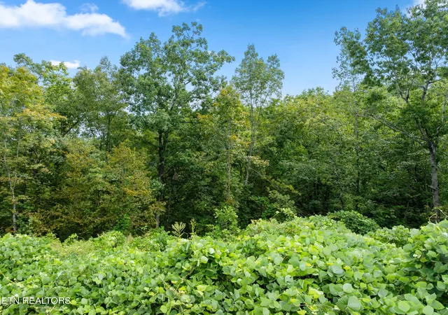 Photo 4 of Land for sale at 0 Pine Valley Way, Pigeon Forge, TN 37862 | MLS# 3611572 | Listing updated on 2026-10-10